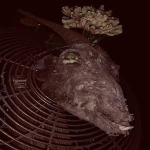 F.T.B. (feat. B4PM, Glock $un, Tri$ap & Lo$t Soul)