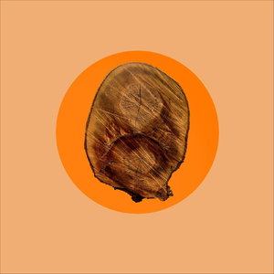 We're Gonna Find Out