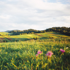 친환경 명상 요가음악 (자연의 필라테스)