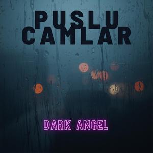 PUSLU CAMLAR