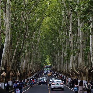 你失约的南京，我替你来了