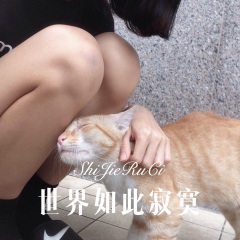 长春的夜依然灯火阑珊 (Remix)