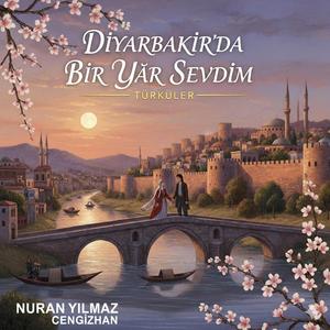 Diyarbakirda bir yar sevdim