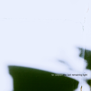 The Last Remaining Light