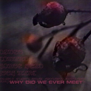 Why Did We Ever Meet (prod. fish narc)