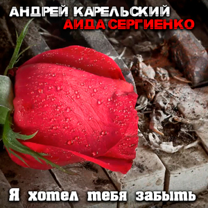 Я хотел тебя забыть