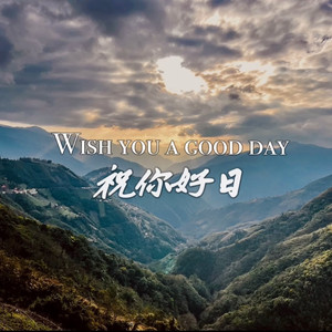 Driving While Embracing the Refreshing Air and Beautiful Sunshine