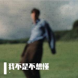 我不是不想懂（是怕眼泪翻涌）