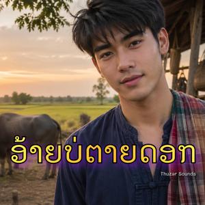 อ้ายบ่ตายดอก