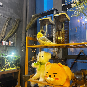 可是你说我们永远都在一起