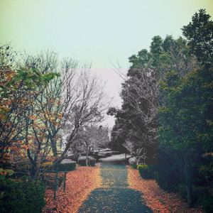 気付かれないように