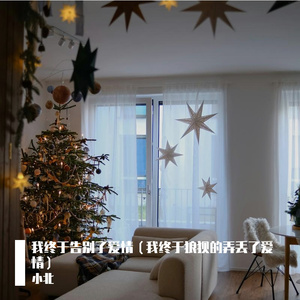 我终于告别了爱情（DJ版）