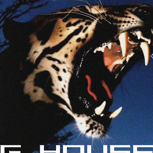 Vidrado Em Voce（G House）