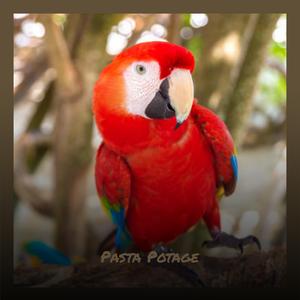 Whereon Neighborhood