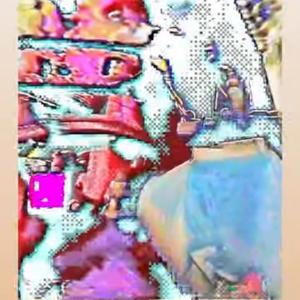 8bitflip