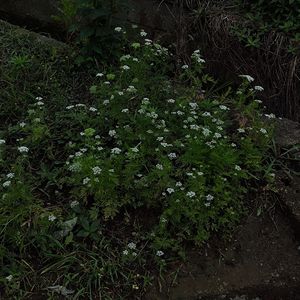 Screenrecorder-2025-05-11-14-37-39-685