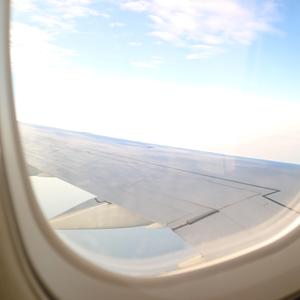 Soaring Through The Sky
