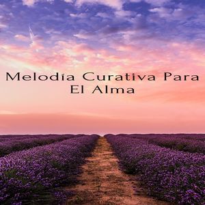 Reduce El Estrés Y La Ansiedad