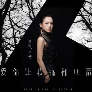 爱你让我痛彻心扉(DJ版）