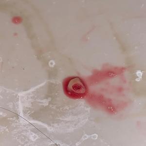 Kill your local pedophile (feat. Joey Ragosta)