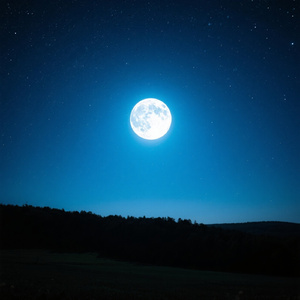 終わり方の美学