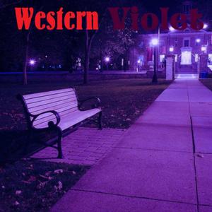 Out of Sight Gang (Album Version)