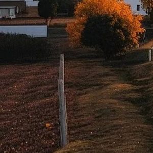 独一无二的梦 伴奏