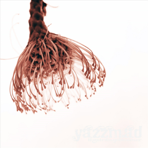 さよならブルー