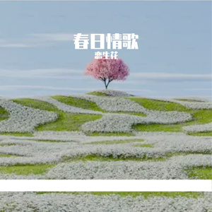 春日情歌