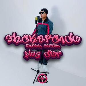 Shakerando (Chilean Version)