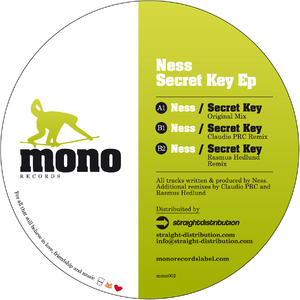 Secret Key (Rasmus Hedlund Remix)