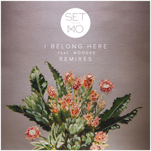 I Belong Here (KC Lights Remix / Radio Edit)