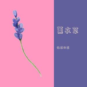 薰衣草（Prod.by JR Views）
