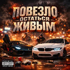 Повезло остаться живым