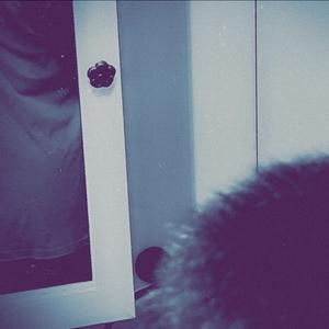 Zyphoin (feat. Amagi)