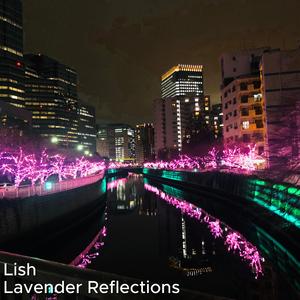 Lavender Reflections