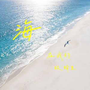 海在我的眼睛里