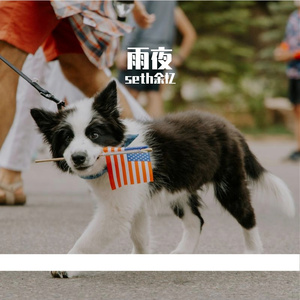 雨中的回忆与思念