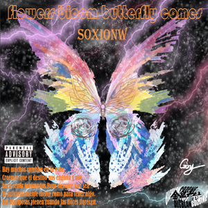 粉色樱花(Prod.by 8Boomin)