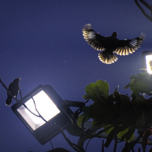 ธรรมชาติ