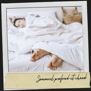 Beauté environnementale