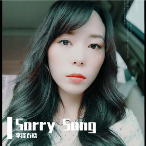 Sorry Song