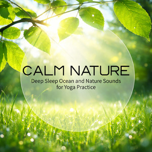 疲れを癒す夜の自然音