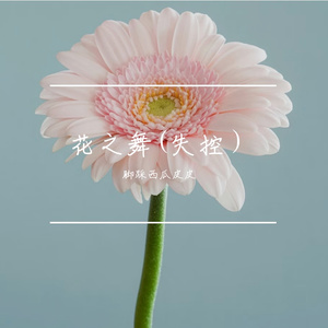 花之舞(节奏版）