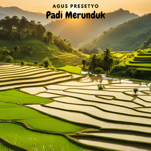 Padi Merunduk