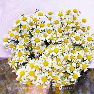 凌乱的思绪（原创 即兴 钢琴）