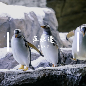 恋歌轻吟春意浓