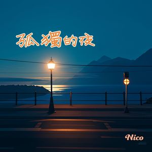 孤独的夜