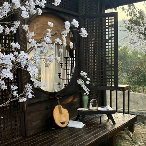 青巷旧梦
