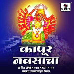 Aai Swapnat Majhya Aali